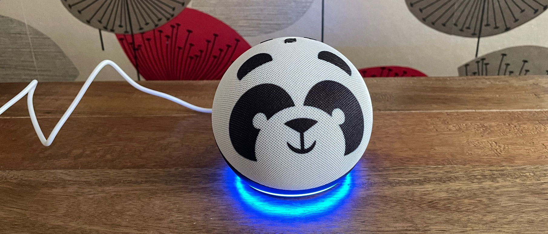 Echo Dot Kids review