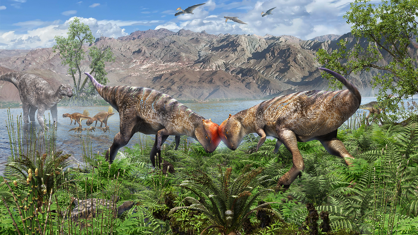 Artist&#039;s reconstrution of the pachycephalosaur.