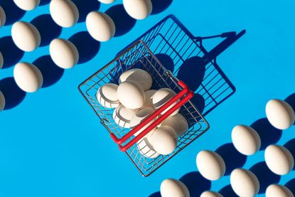 Pattern made of White color Easter Egg and shopping basket on pastel blue color background. Concept of putting most or all of your eggs in one basket, or limiting choices.