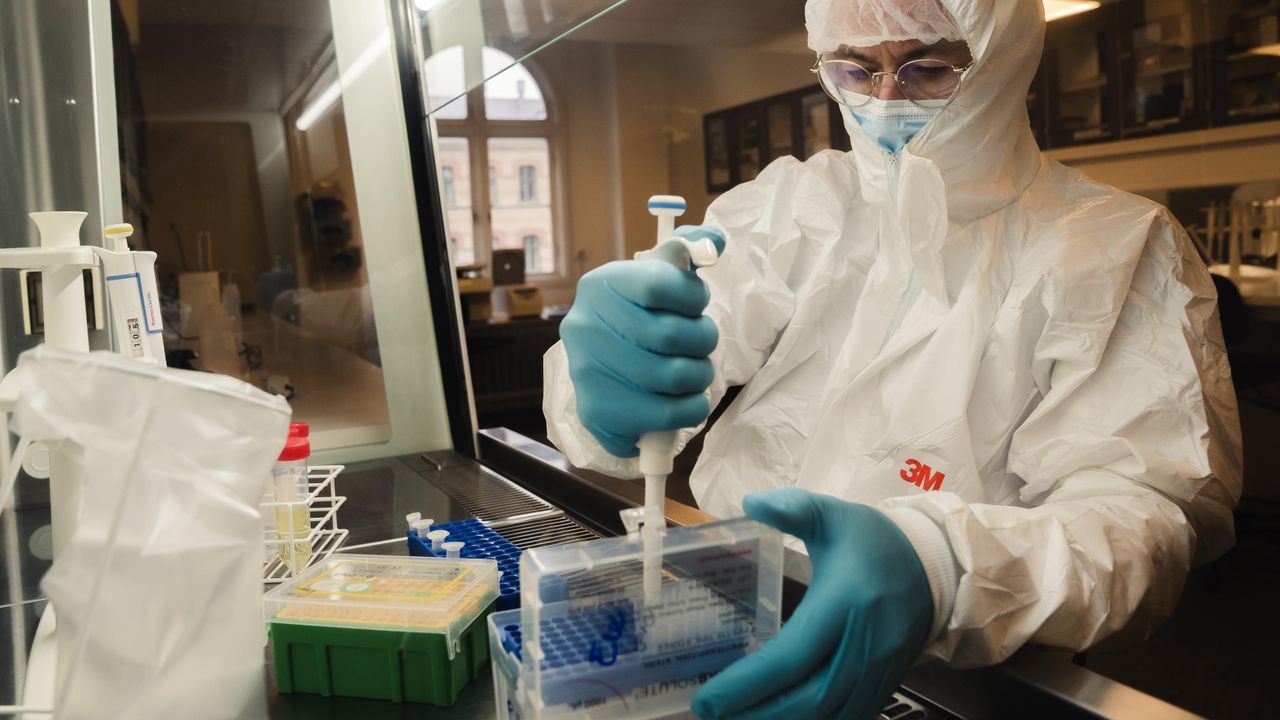 Eske Willerslev preparing DNA samples for analysis in Copenhagen.