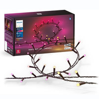 Philips Hue Festavia String Lights