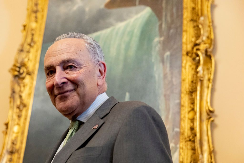 Senator Chuck Schumer photo