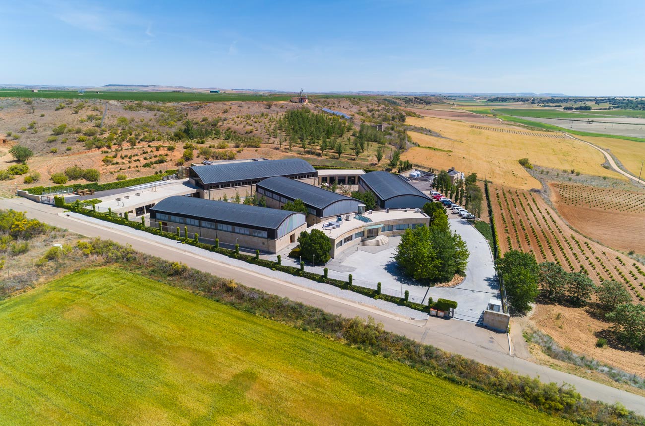 Pintia Toro vertical