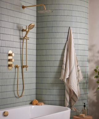 brass shower set over bath