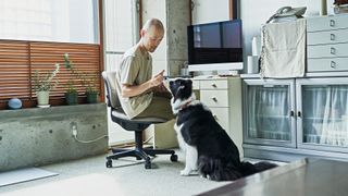 Man speaking to his dog from his work from a home office desk