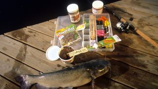 Best catfish baits and stinkbaits on a table with a fishing rod