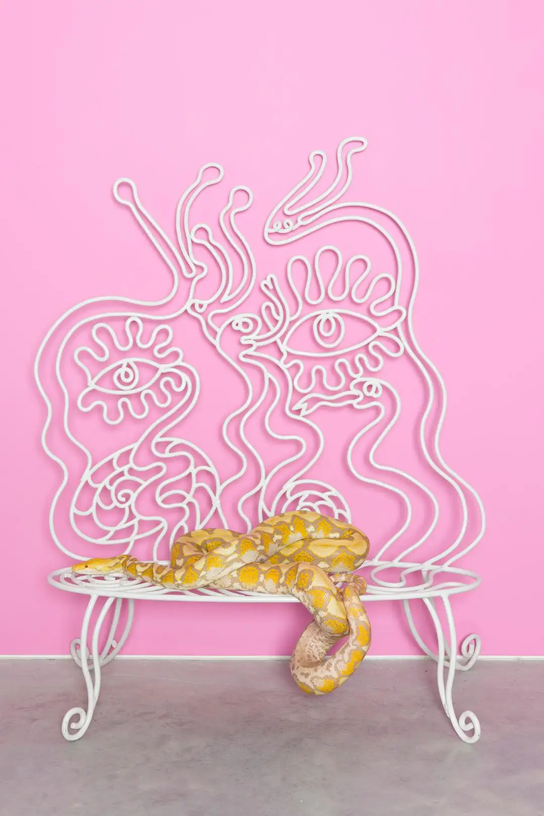 A doodly bench in wrought iron painted in white stands against a pink wall, topped by a snake.