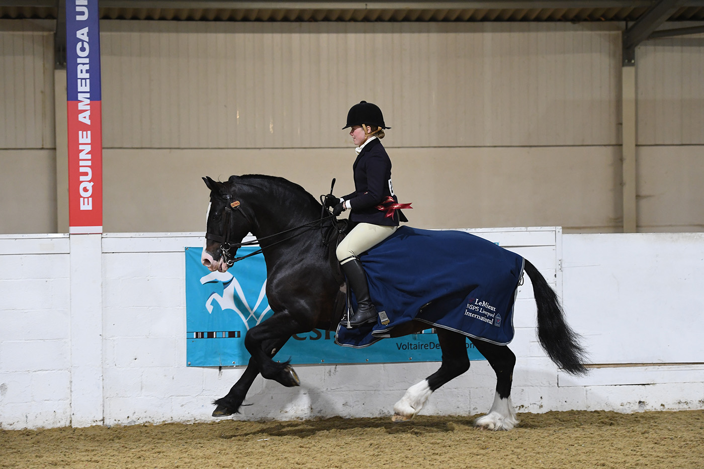 Heritage Show 16.10.21CL 81No. 264 Trehewyd Cardi. Kayleigh