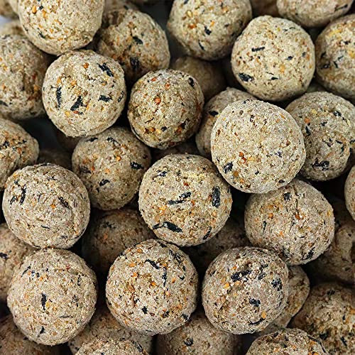 Gardenersdream Suet Fat Balls | Premium Garden Wild Bird Food | Enhanced Year-Round Formula | Naturally Blended, High in Energy & Protein-Rich Feed | Full of Nutritious Fat Fibre & Moisture (10 Pack)