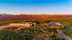Bemberg-Estate-Wines-aerial.jpg