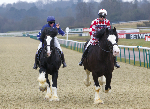 Shire-race-3.jpg
