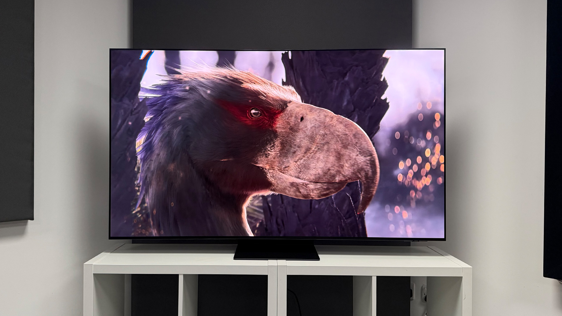 Samsung S95F OLED TV on white wooden furniture, on screen is prehistoric bird