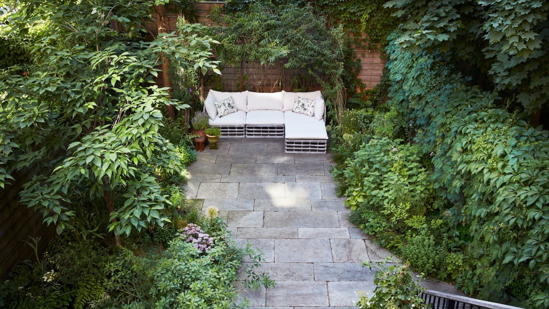 Barbara Bush Brooklyn Backyard 