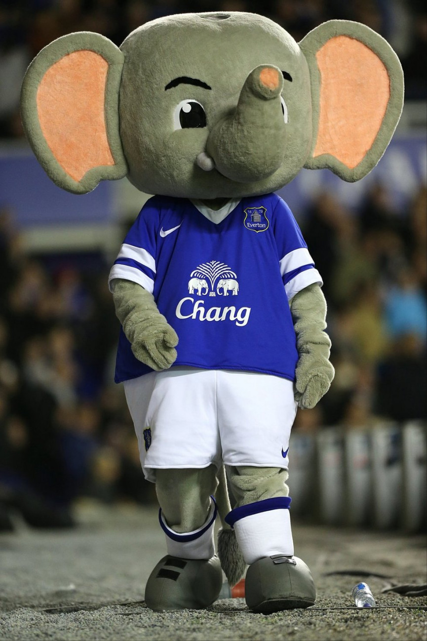 this-seasons-premier-league-mascots-ranked-19-1556679160-sZBo-column-width-inline