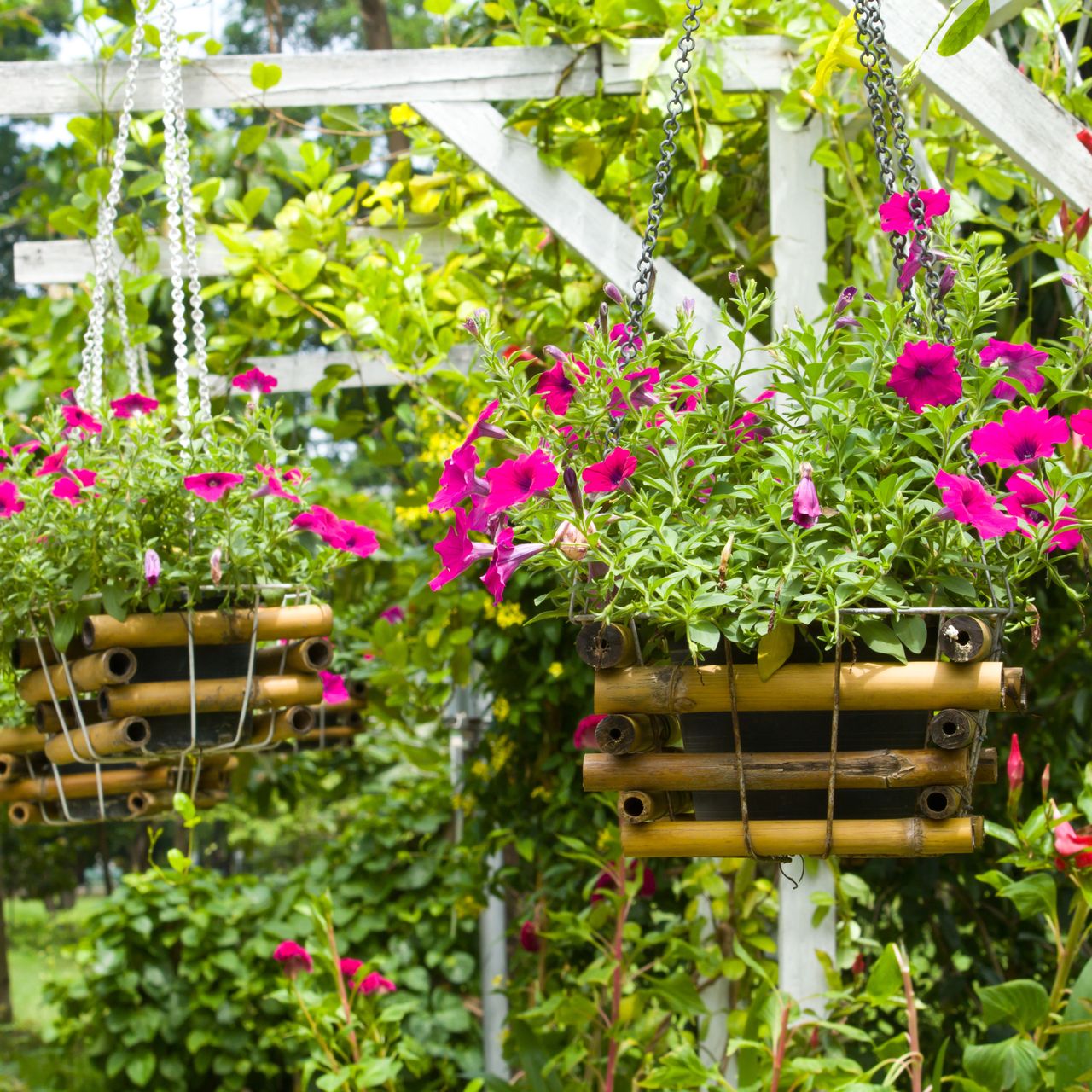 bamboo hanging baskets with pink petunias