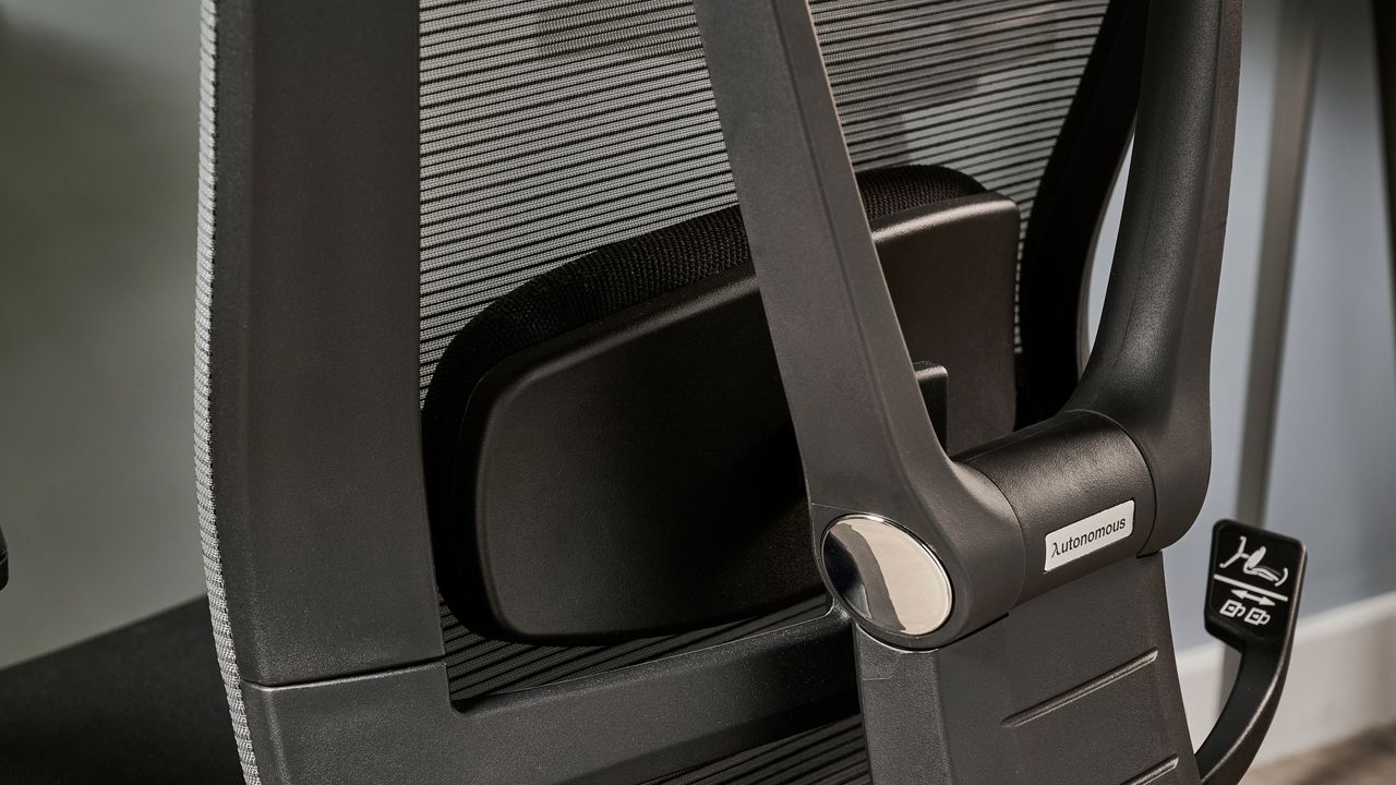 The Autonomous ErgoChair Pro's lumbar support