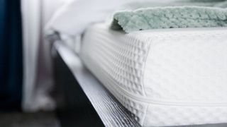 picture of mattress with no cover on