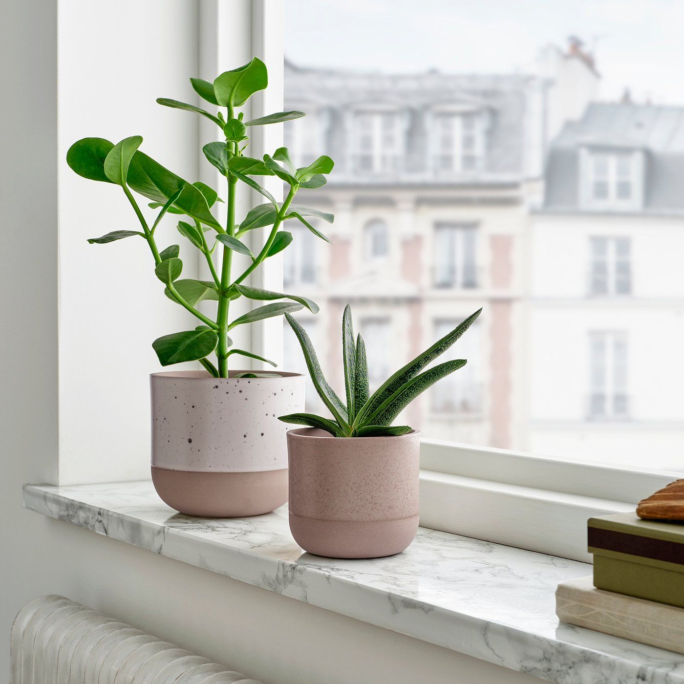 Buskkaprifol Plant Pot - Indoor/outdoor/gray 3 ½ "