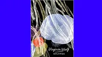 Orlando - Virginia Woolf