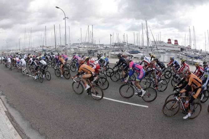 The peloton race by the port in Palma