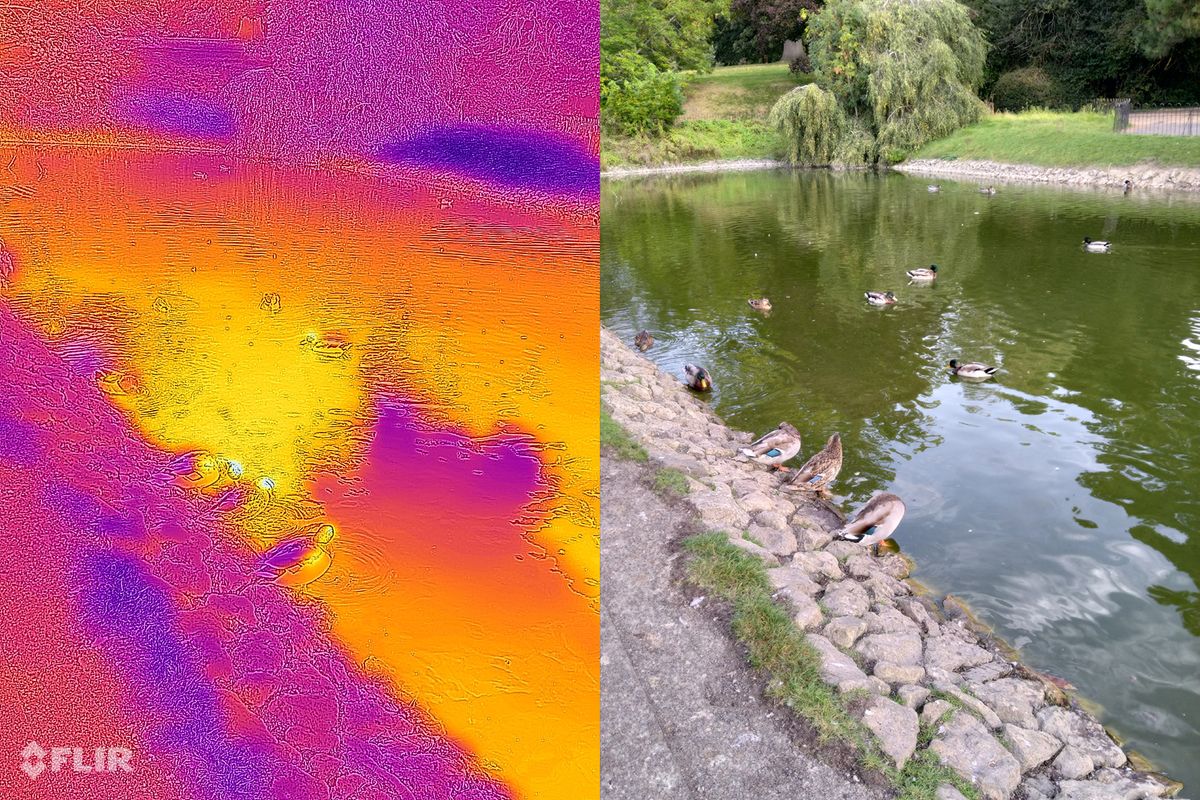 CAT S62 Pro review | Digital Camera World