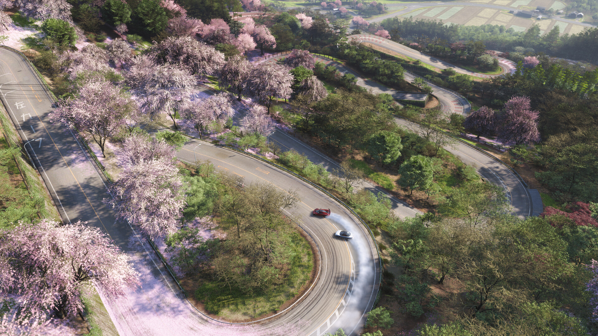 Forza Horizon 6 gameplay shows three cars drifting down a curved road in Japan, with cherry blossom trees framing the scene