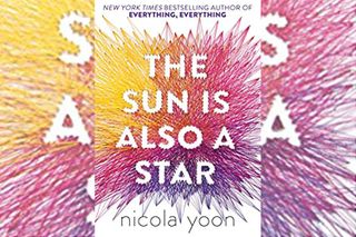 The Sun Is Also a Star book
