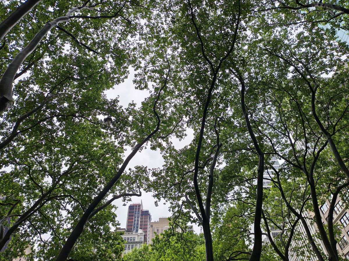 Motorola Razr Plus 2024 dynamic range sample.