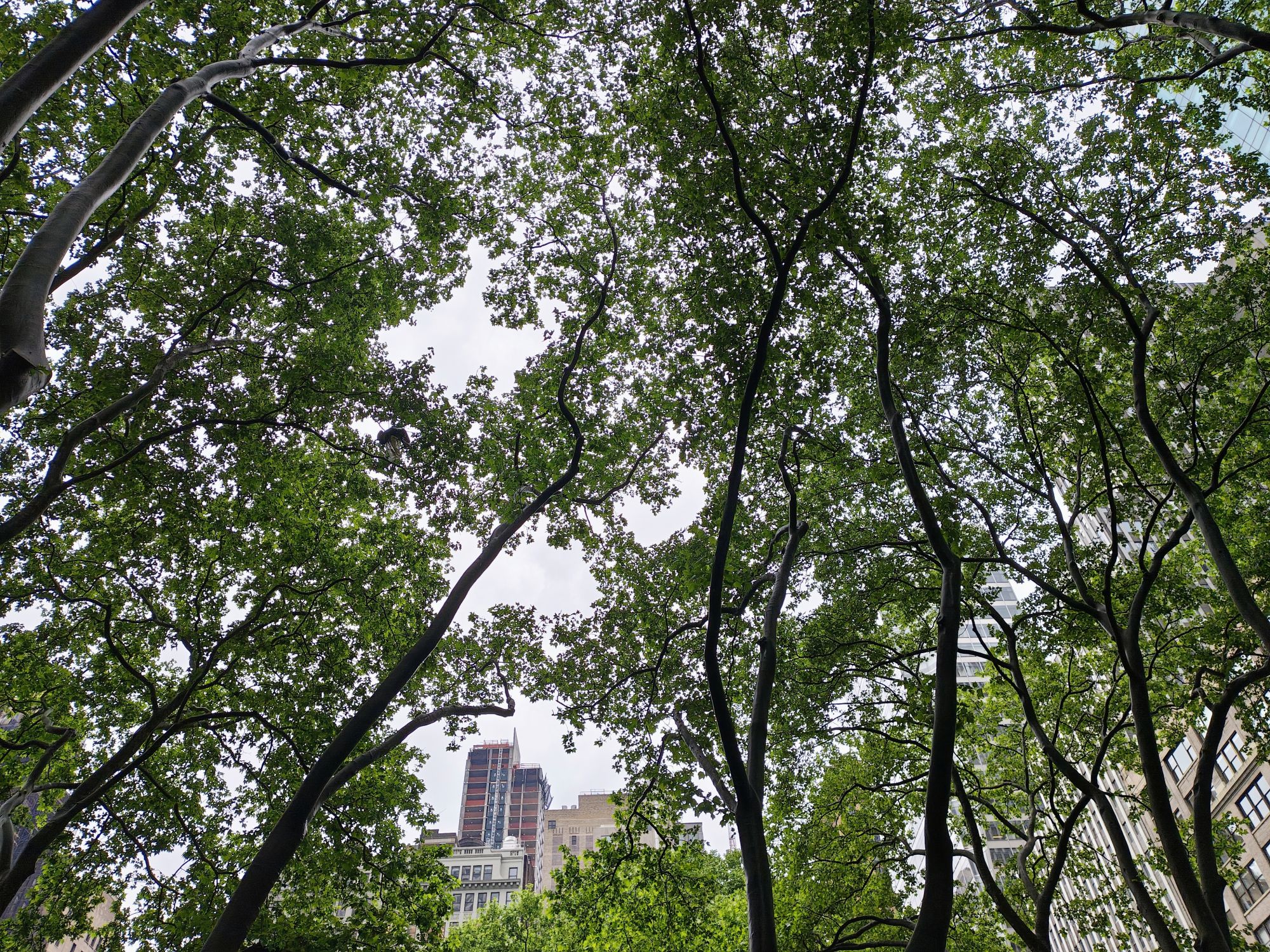 Motorola Razr Plus 2024 dynamic range sample.