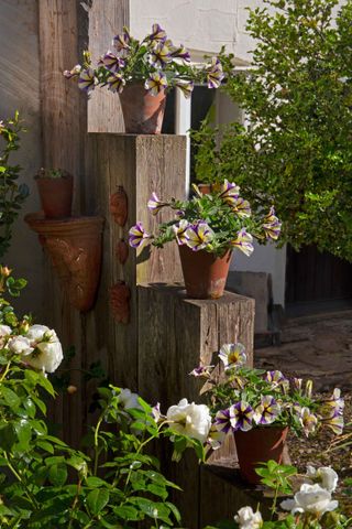 vertical garden sleeper ideas with potted plants