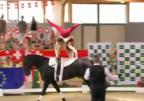 Eccels-vaulting.jpg