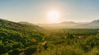 Ojai