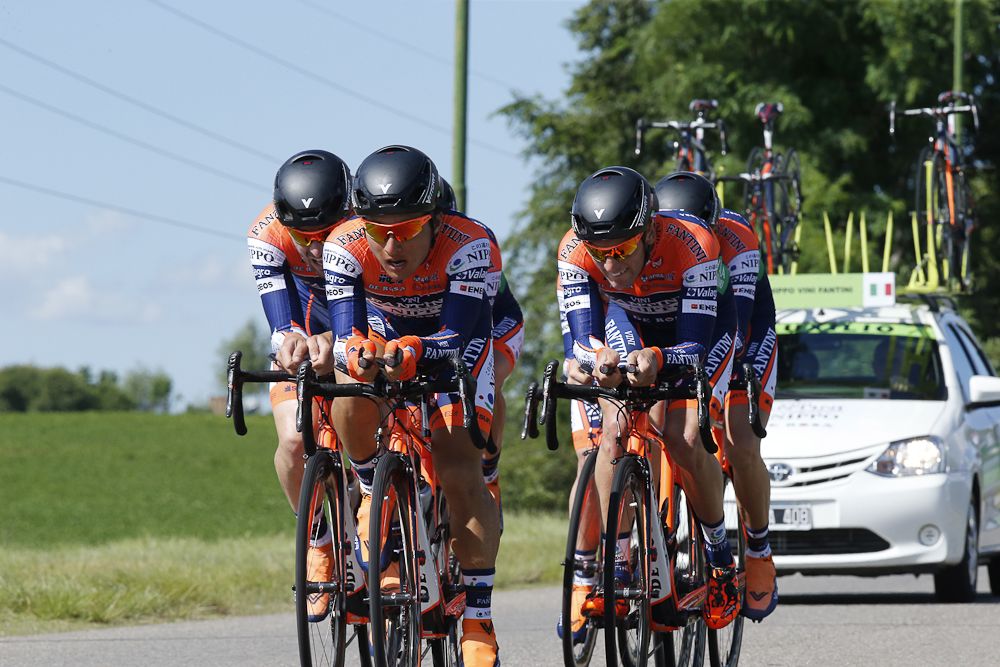 Nippo Vini Fantini