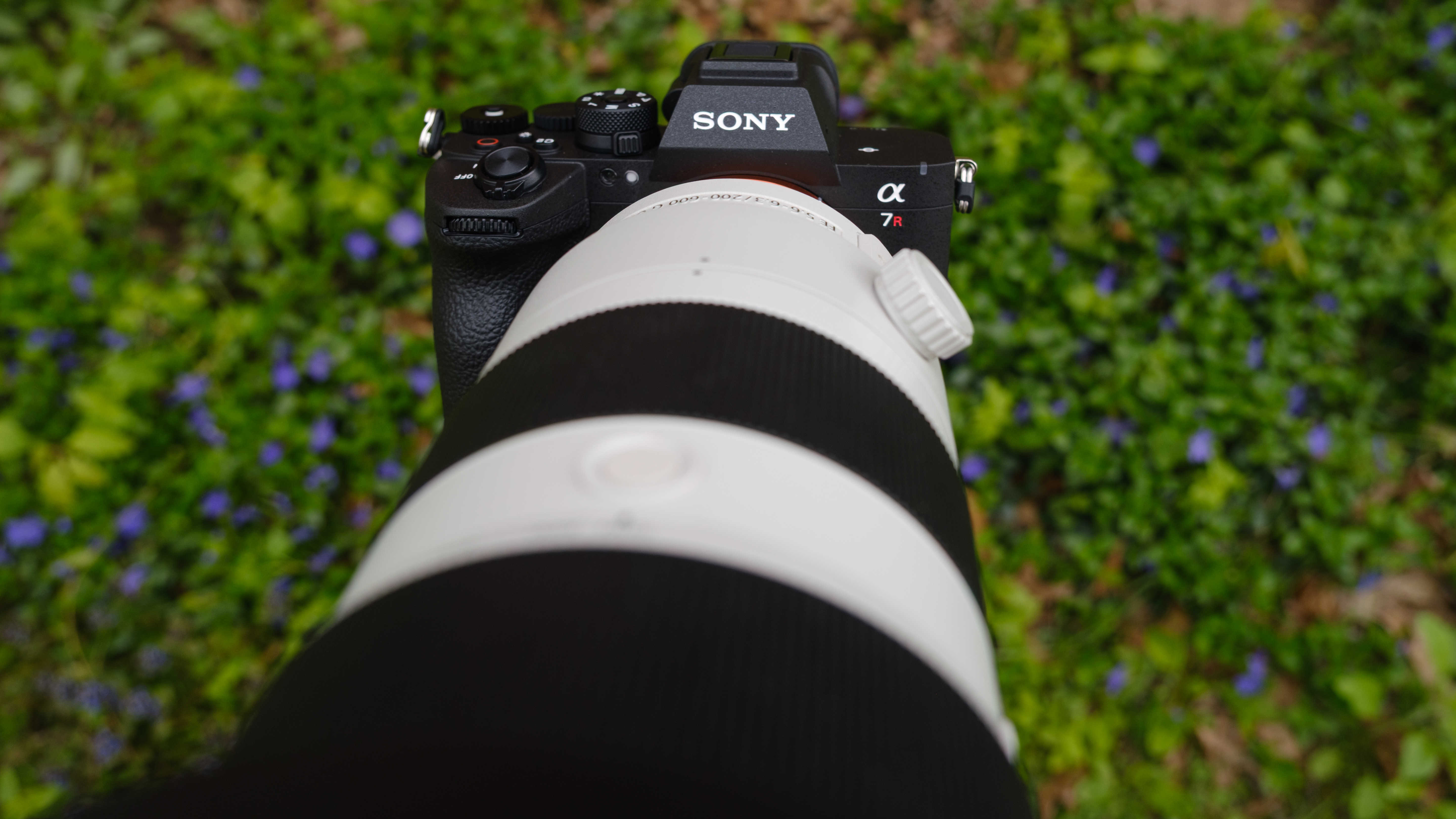 The Sony A7R VI photographed outdoors