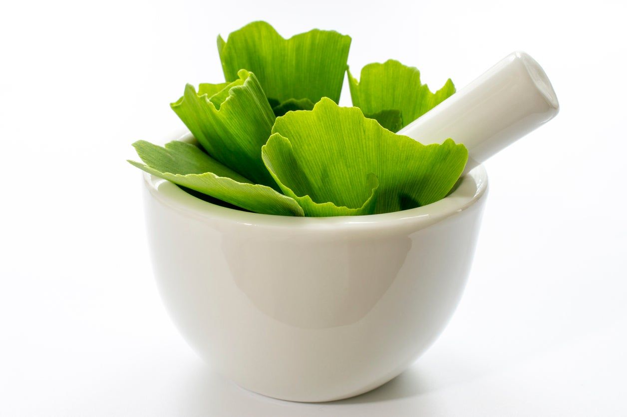 Ginkgo In A Small Mortar Bowl