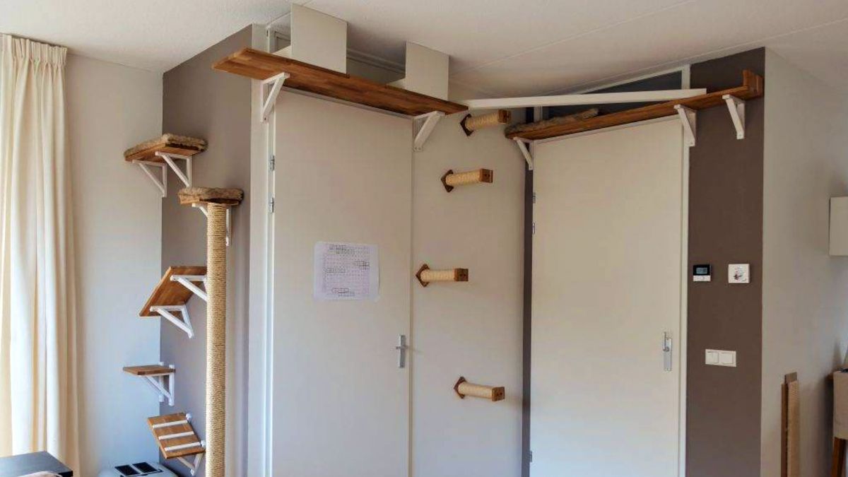 Illustration of Protecting Cat Wall Shelves With Enclosed Perches