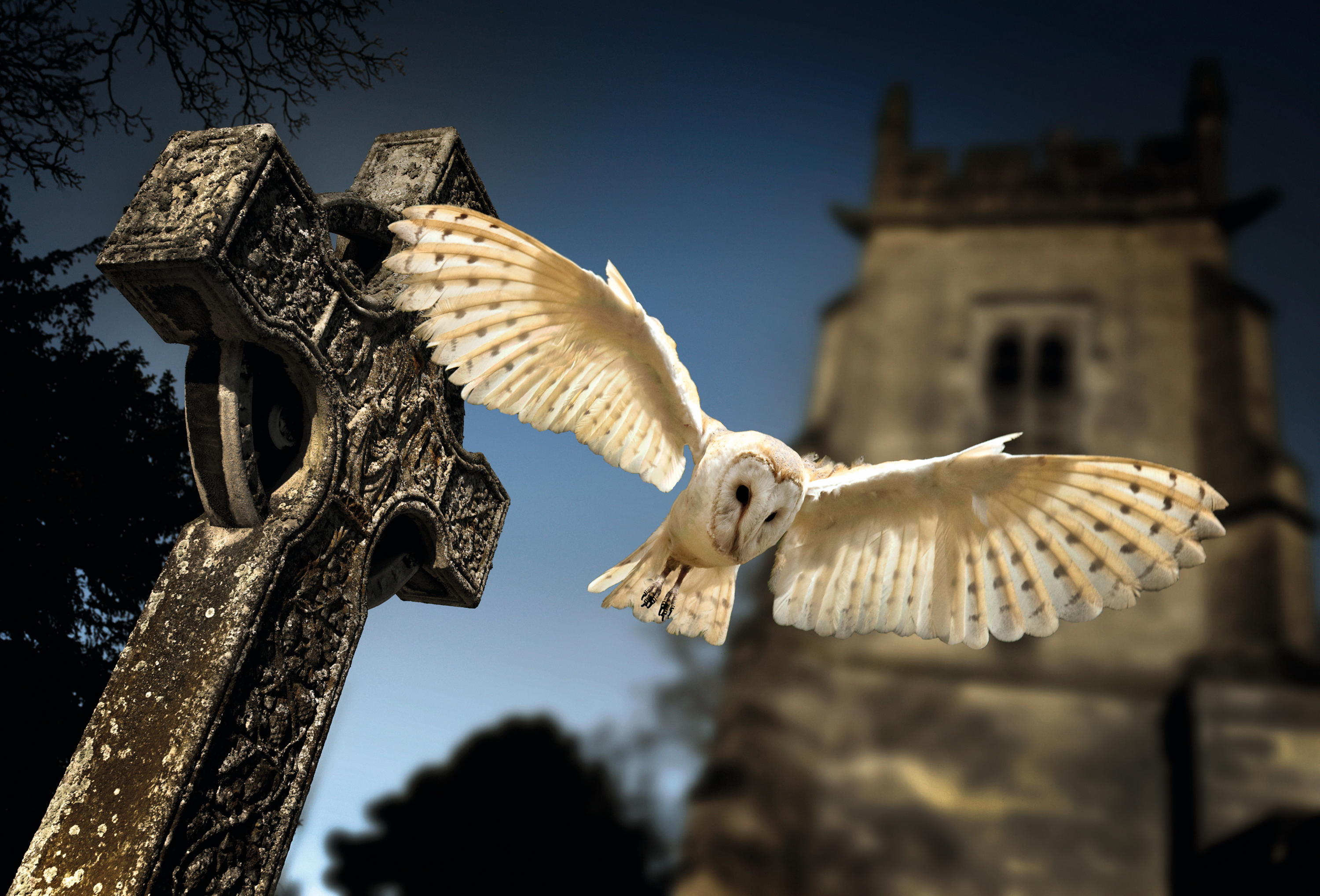 churchyard nature