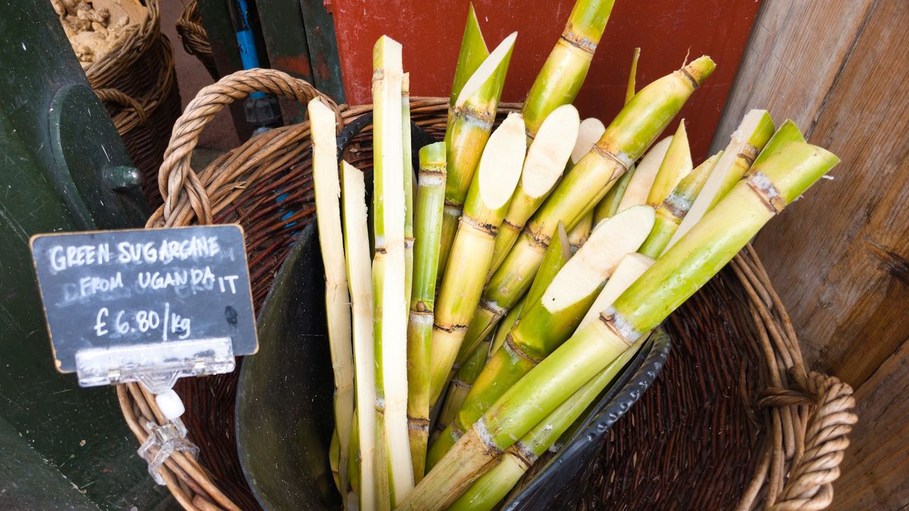 Green sugar cane for sale in a wicker basket