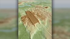 A 3D image of the Aguada F&eacute;nix site, reconstructed from data gathered during an aerial laser survey.