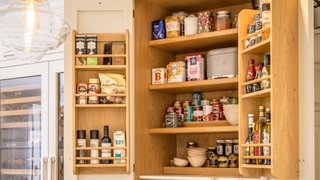 Pantry cupboard with the doors open