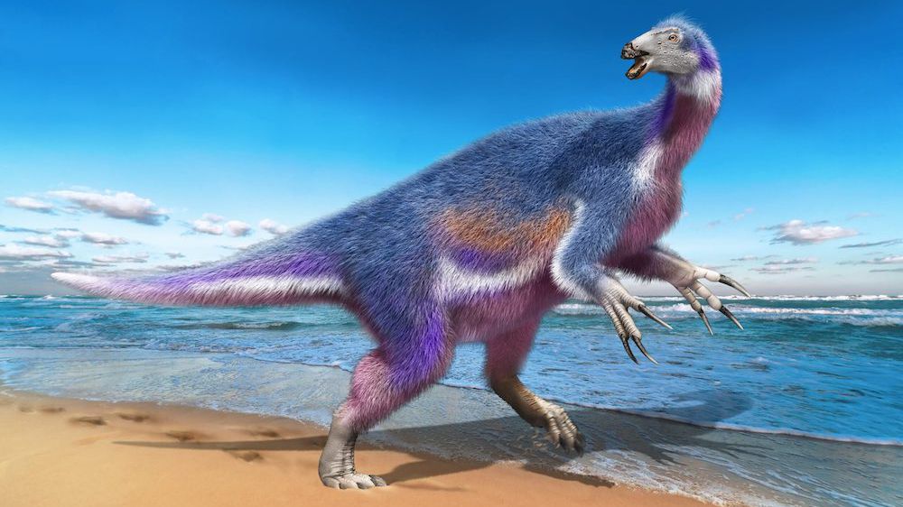 An artist&#039;s rendition of Paralitherizinosaurus japonicus, the newfound dinosaur species described in this study.