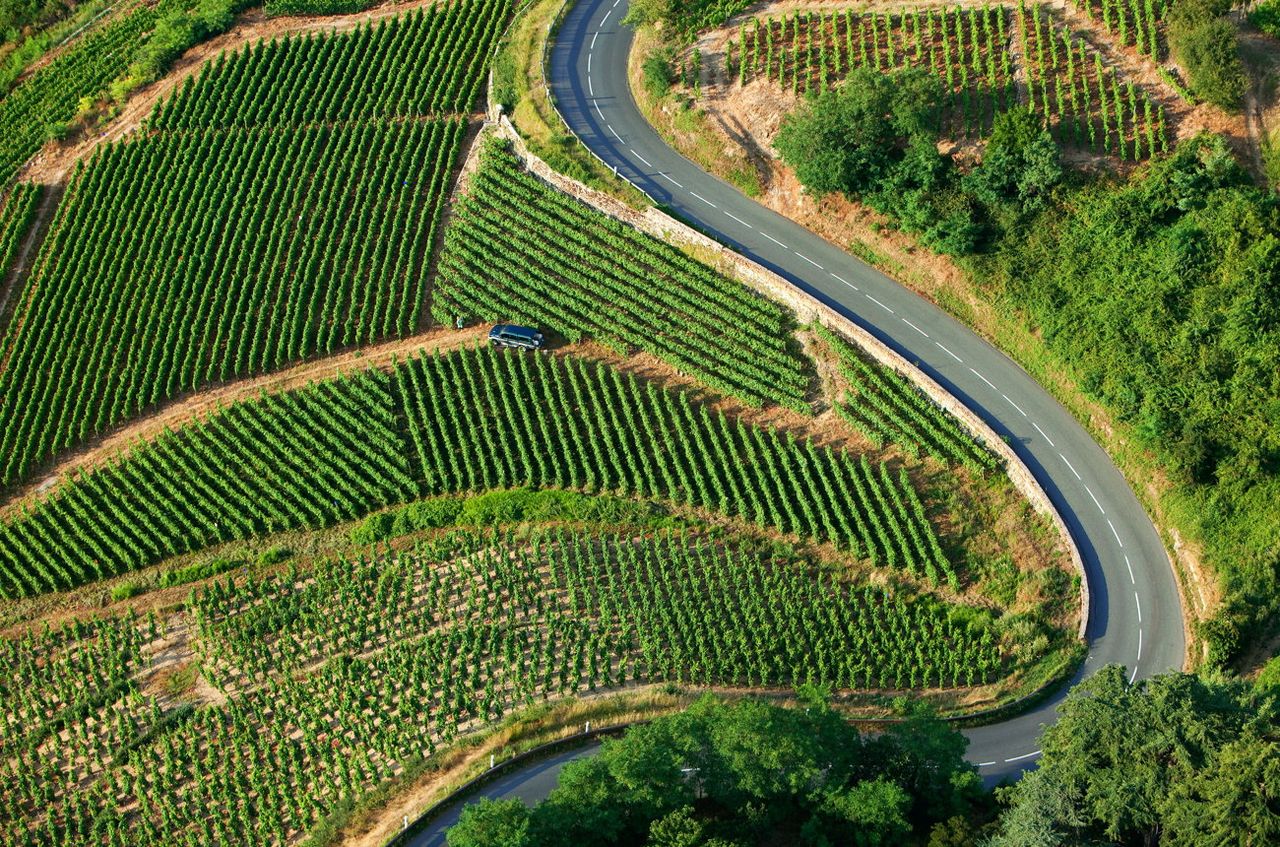 C&amp;ocirc;te-R&amp;ocirc;tie and Condrieu 2023