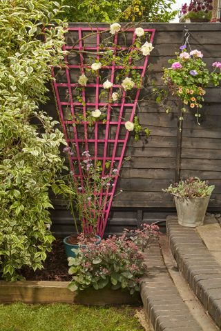 patio gardening ideas: pink trellis