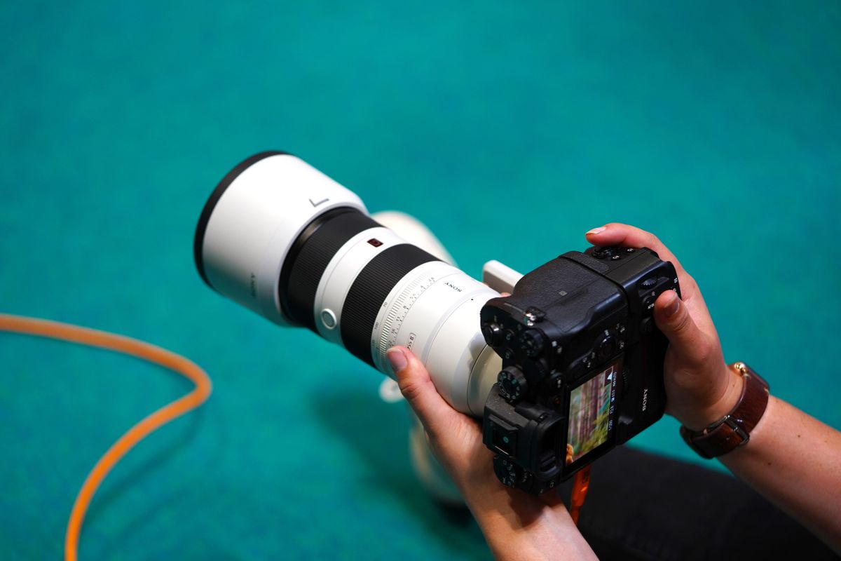 The dogs that stole our hearts at The Photography and Video Show 2022