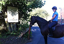 bowlers-riding-school.jpg