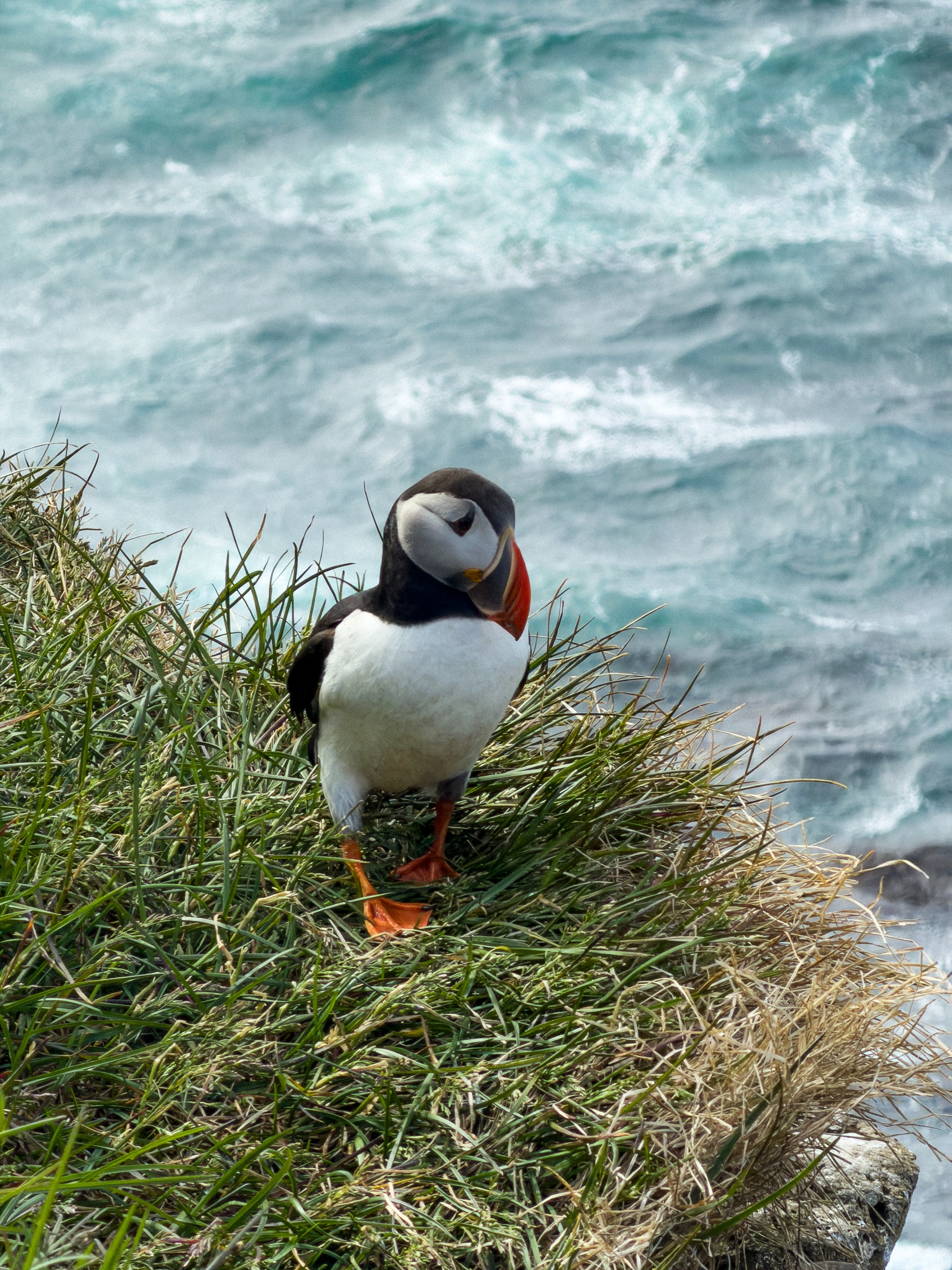 A photo from Icelandair's Really Bad Photographer competition, taken by the winner Blanche Mortemard