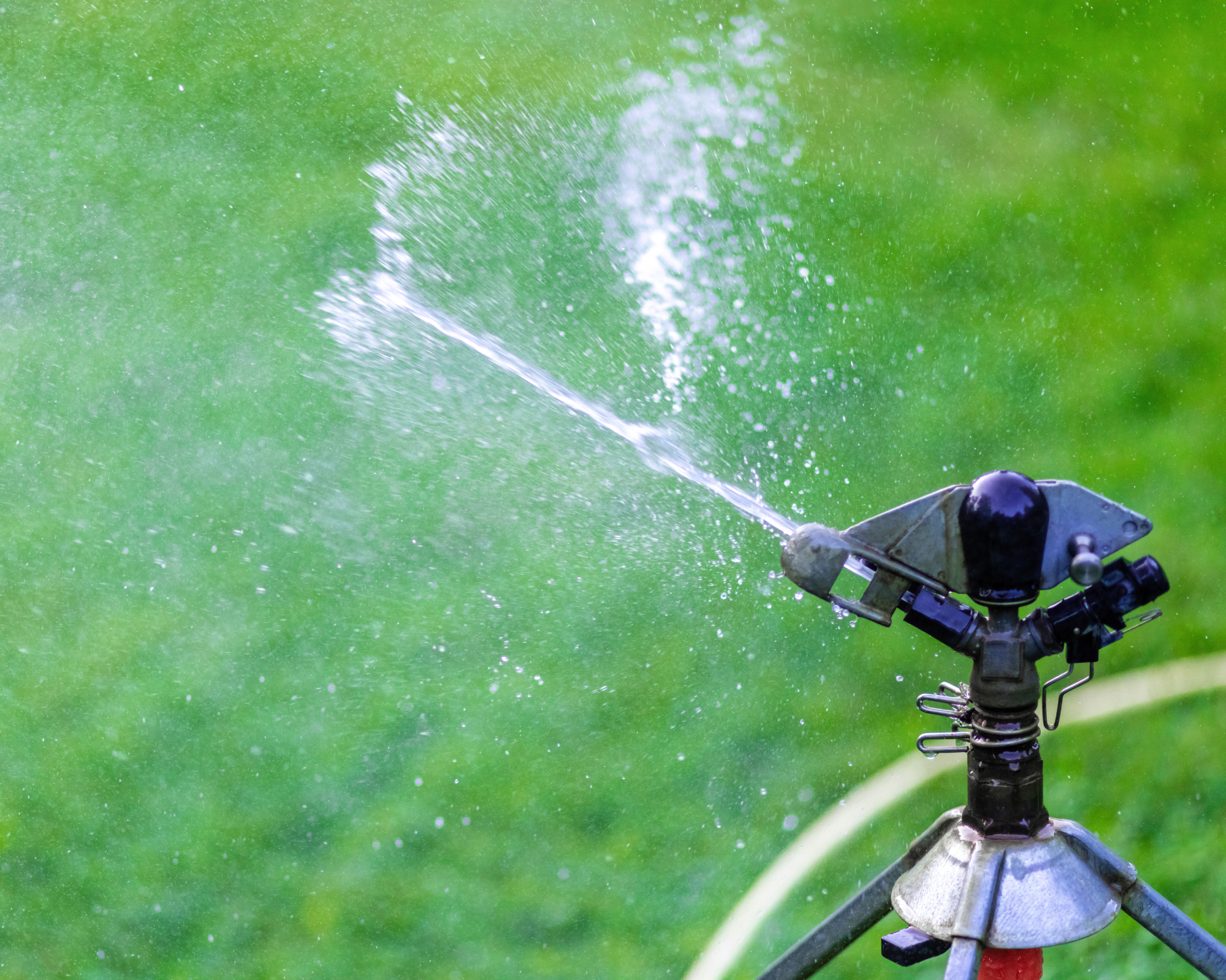 Lawn sprinkler watering grass
