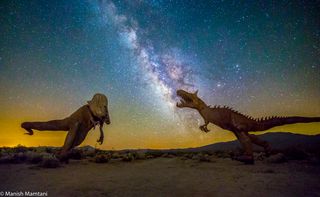 Milky Way and Dinosaur Sculptures by Mamtani