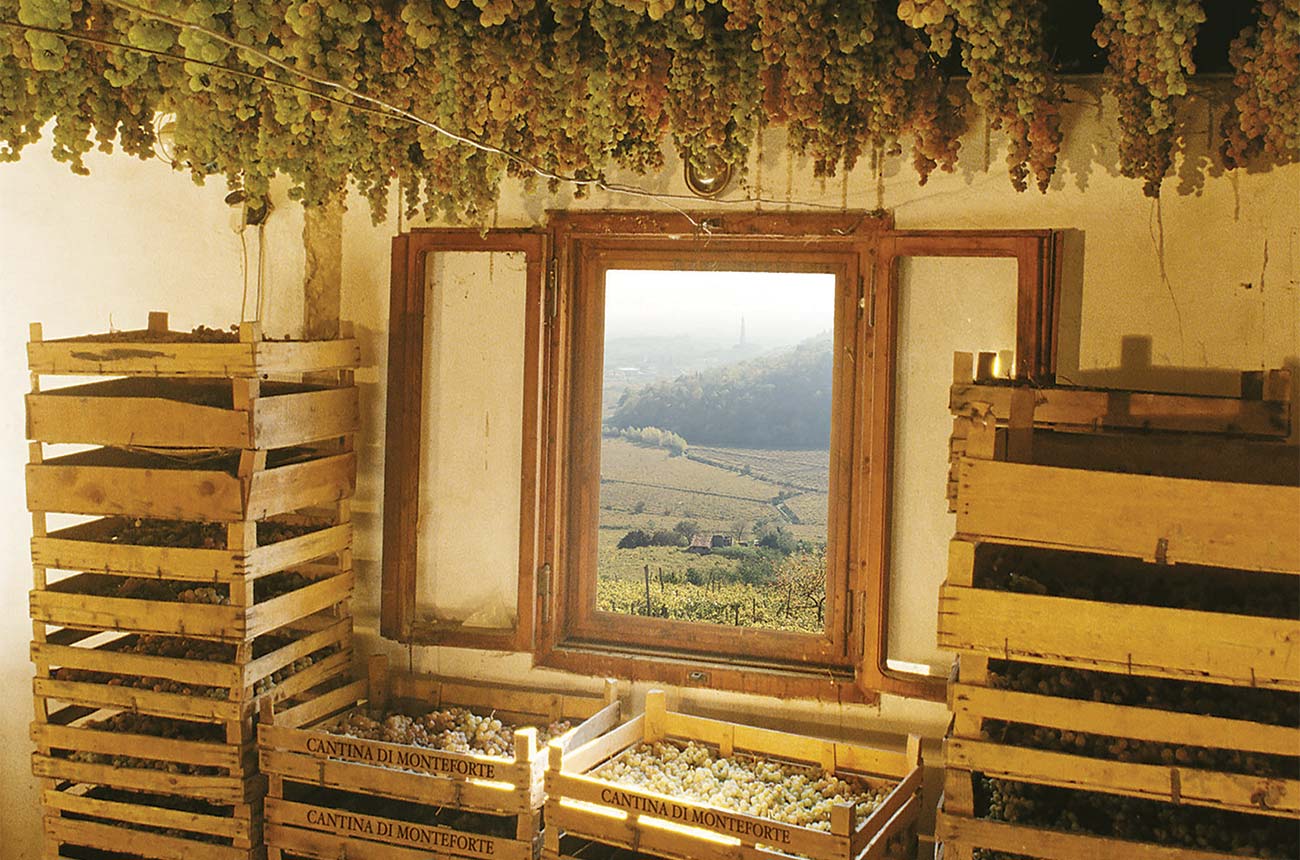 Drying grapes