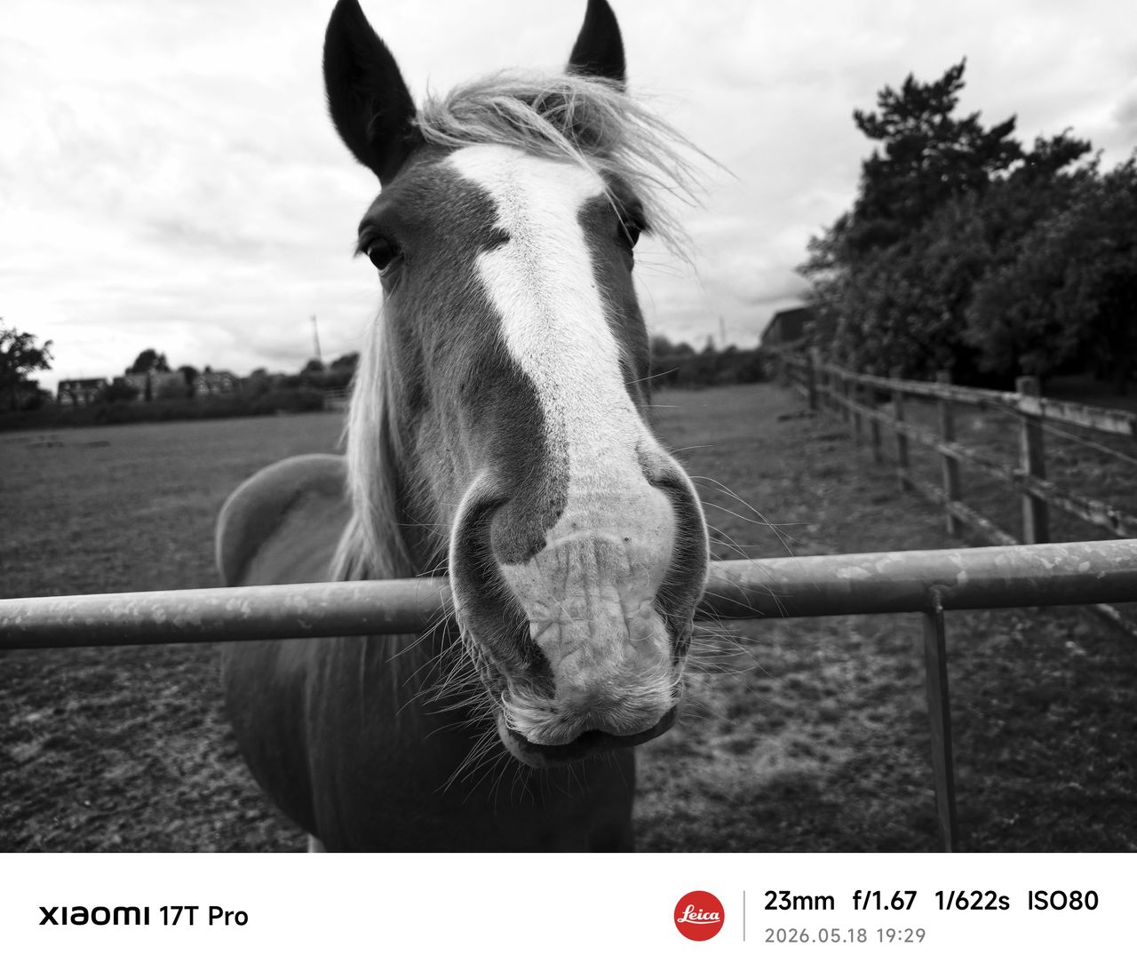 Sample photos from the Xiaomi 17 Pro cameras